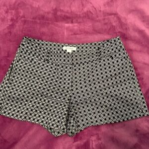 White House Black Market High Waist Black and Cream Shorts